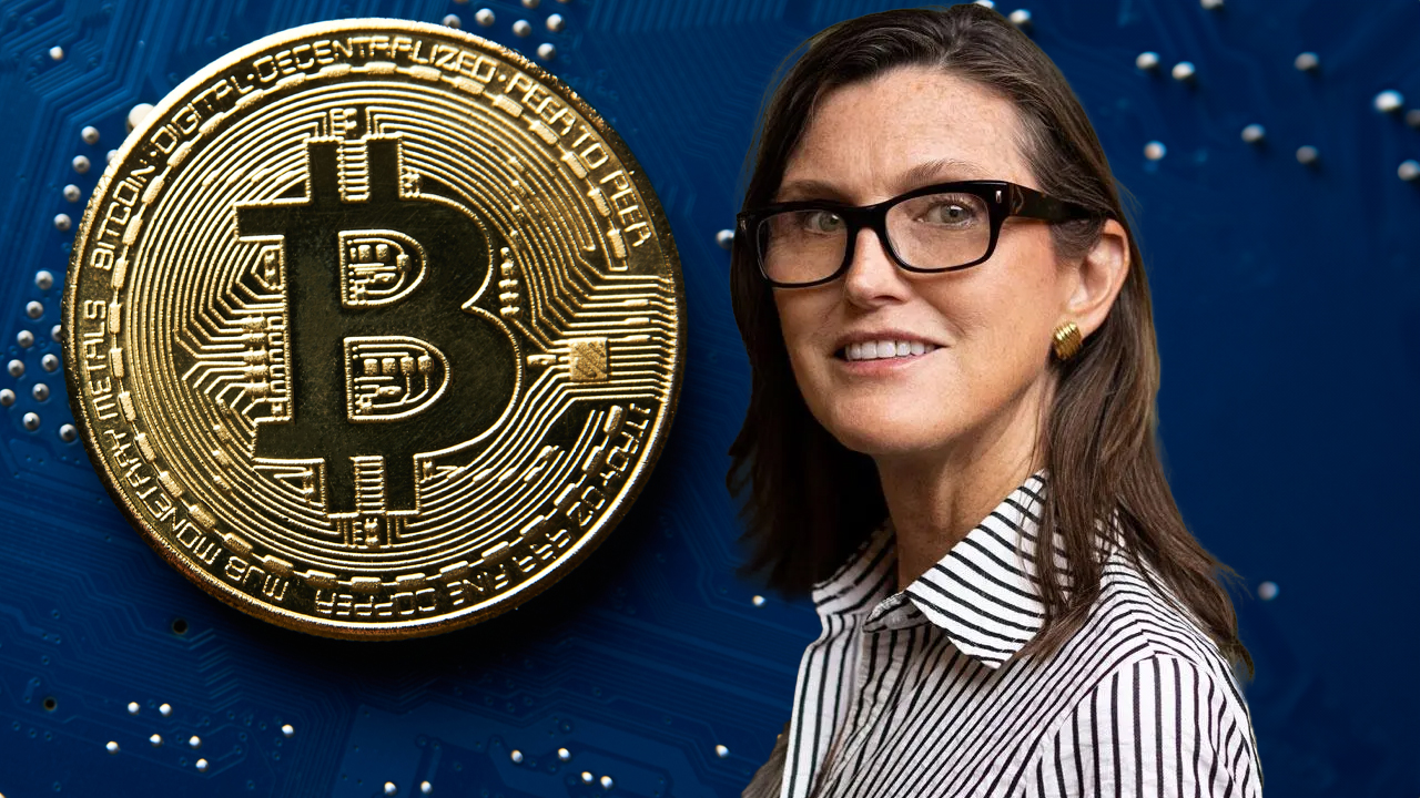 木头姐:比特币有望达到100万美元,方舟投资创始人对加密货币充满信心