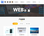 外贸电商软件开发
