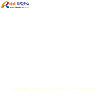 精睿网络安全